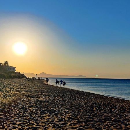 Sunny Denia Apartment 4U - Mar Baltic 5 Dış mekan fotoğraf